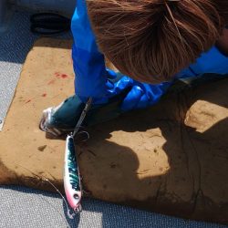 ヒラマサには出会えず