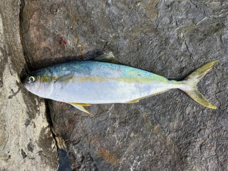 大きいサイズがヒットしない