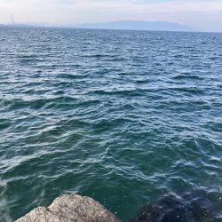 大きいサイズがヒットしない