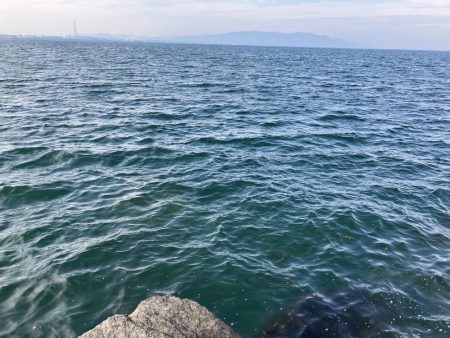 大きいサイズがヒットしない