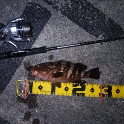 雨の止み間に釣り