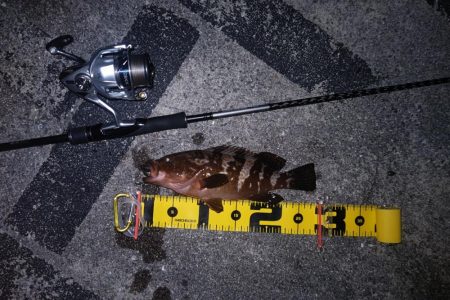 雨の止み間に釣り