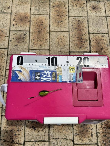 梅雨の晴れ間に！