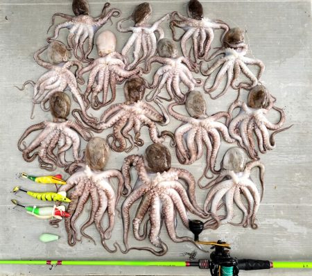 伊勢湾沖タコ釣り！