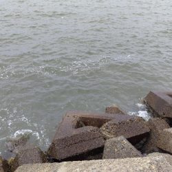 雨の合間を縫って