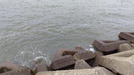 雨の合間を縫って