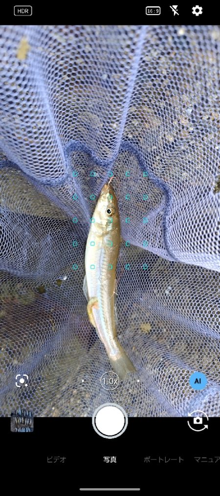 雨の落ちないうちに