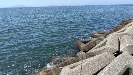 キスを釣りたい