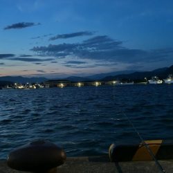 初めての朝マズメ