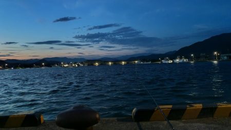 初めての朝マズメ