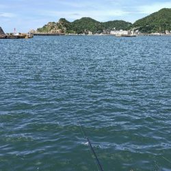 今シーズン一番だめでした