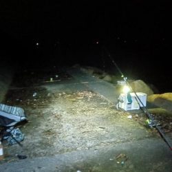 苅屋海岸のキス釣り