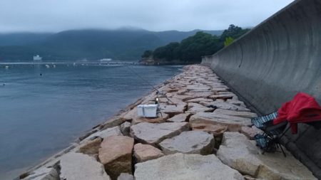 室津のキス釣り