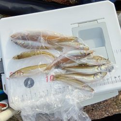 大塩海岸のキス釣り