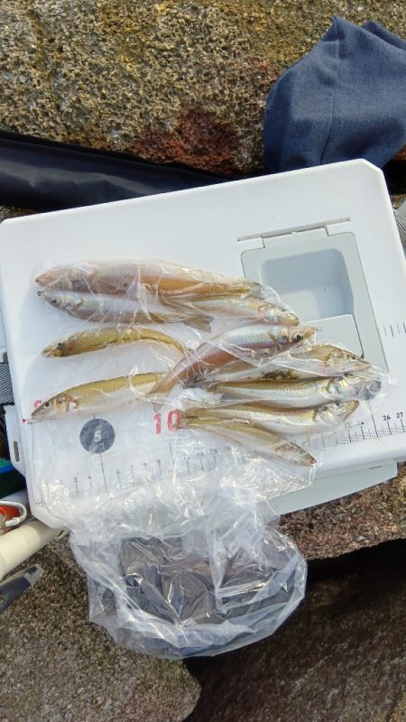 大塩海岸のキス釣り