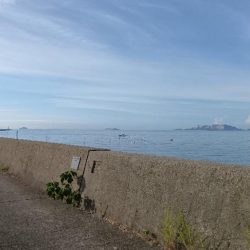 苅屋海岸のキス釣り