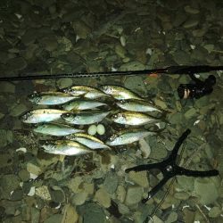 フロートゲーム～