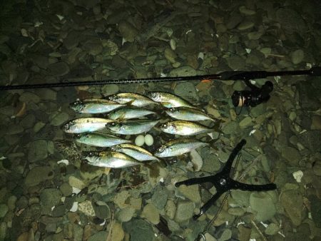 フロートゲーム～