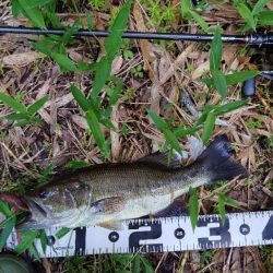 スリーパークロー！