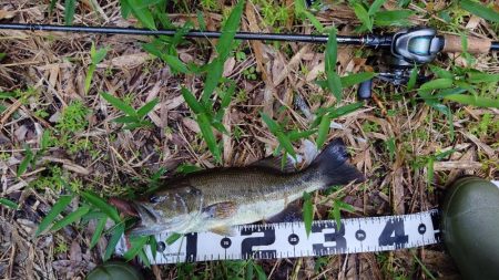 スリーパークロー！