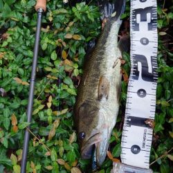 雨後のトップゲーム