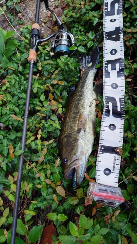 雨後のトップゲーム