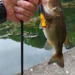 結局いつも通り