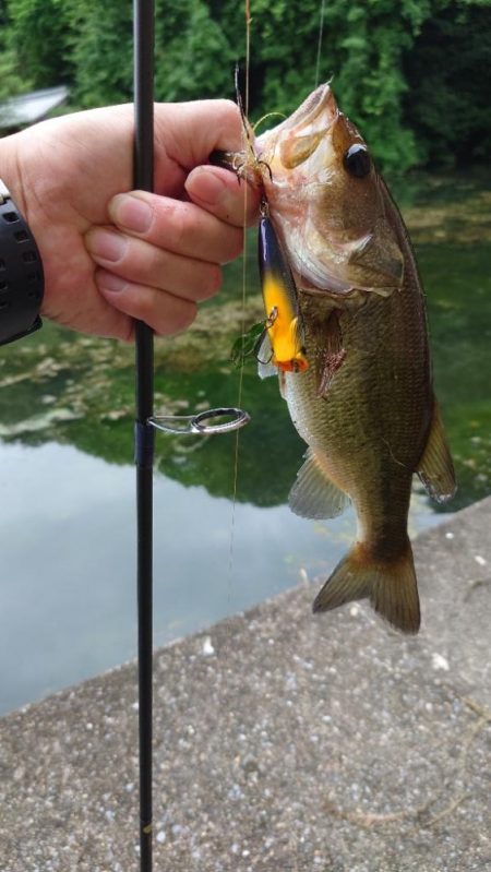 結局いつも通り