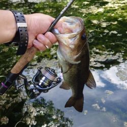 サイトフィッシング