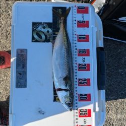 久々に武庫川一文字