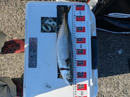 久々に武庫川一文字