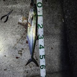 久しぶりの遠征