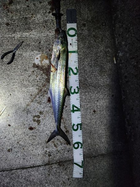 久しぶりの遠征