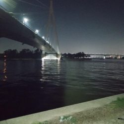 久々のシーバス