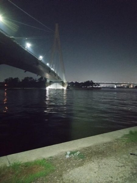 久々のシーバス