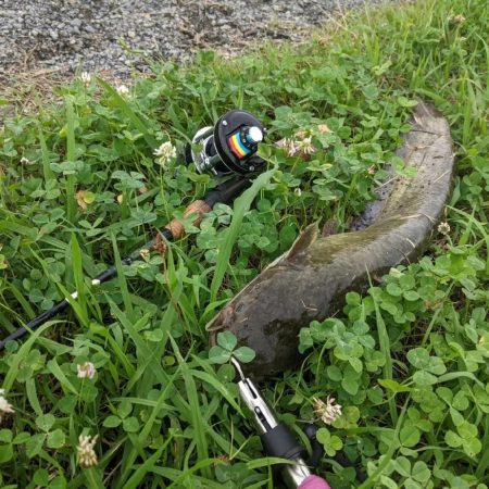 オールドタックルで