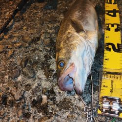 夜の海も暑かった。