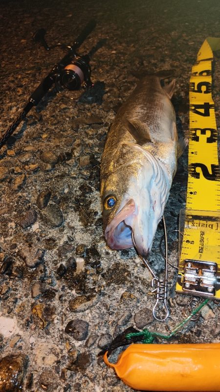 夜の海も暑かった。