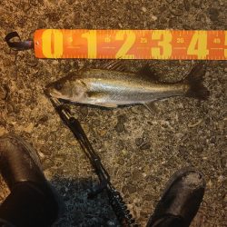 お持ち帰りならず