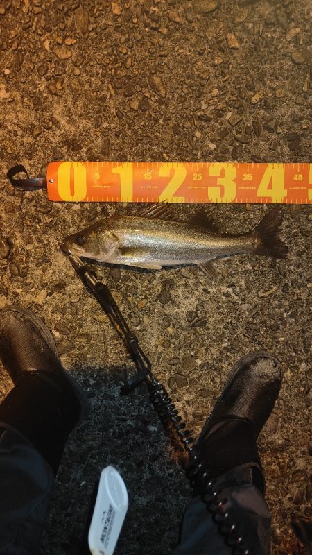 お持ち帰りならず