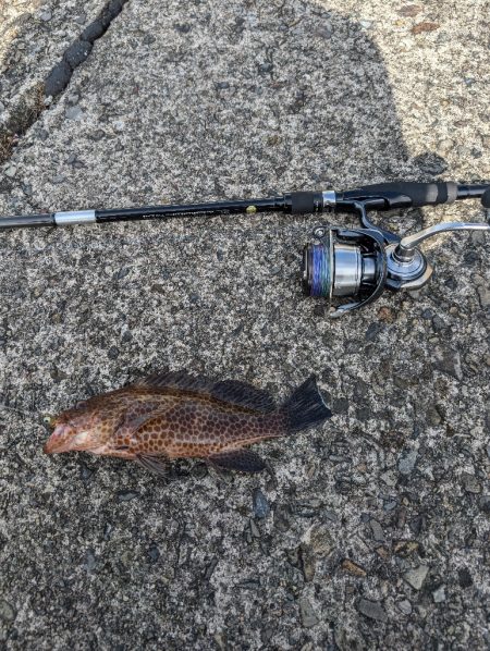 陸っぱり釣行記