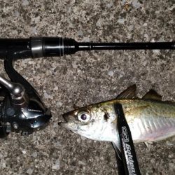 リベンジアジング