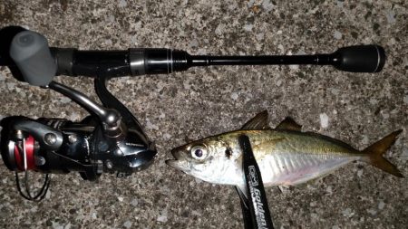 リベンジアジング