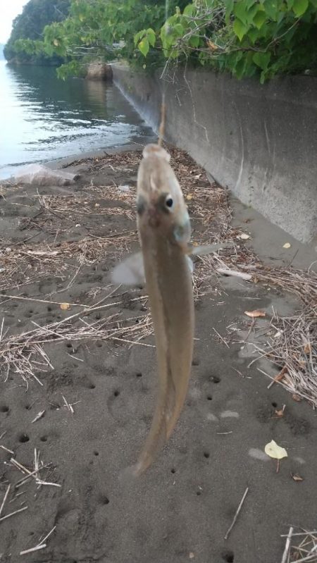 雷雨の前のキス釣り