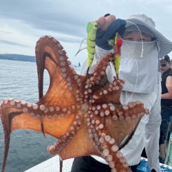 今年初の船タコ