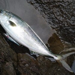 荒れ後の越前海岸