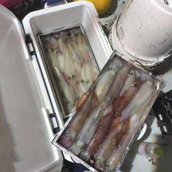 イカメタル　浜坂