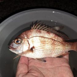 夜でも暑くなってきました