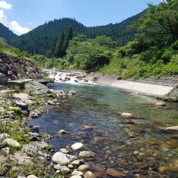 暑いしバラすし今日は駄目です