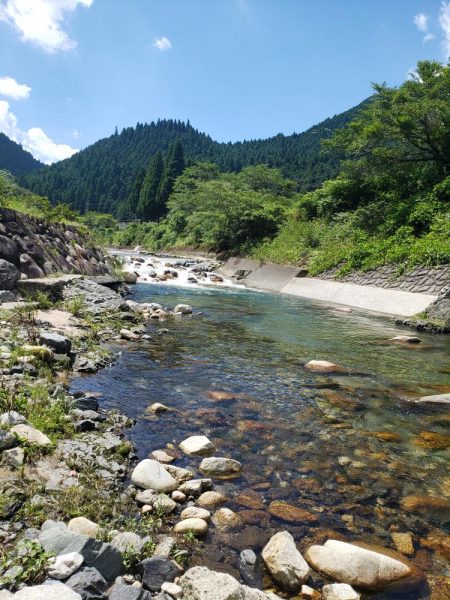 暑いしバラすし今日は駄目です